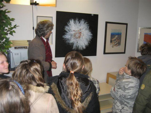 Ausstellung 'keine Ursache' 29. Okt 2009 - 23. Feb 2010